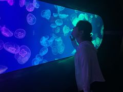 -成都浩海立方海洋公园