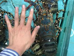 -渔民新村(番禺总店)