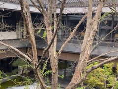 -新荣记(西溪湿地店)