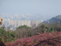 -重庆平顶山公园