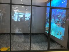 -FAIRYLAND龙族星球主题餐厅(凯丹广场店)