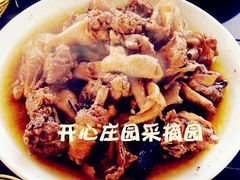 炖柴鸡-开心庄园
