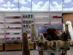 -国药中服免税(北京坊店)