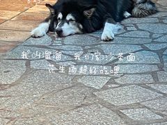 -老宅原住民沙茶面精品小吃(龙头路店)