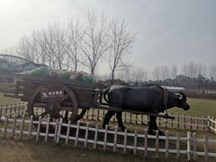 -云幽谷旅游区
