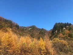 景点-终南山国家森林公园