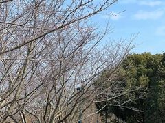 -迪士尼小镇