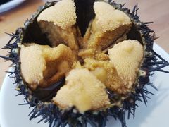 活海胆-海胆小馆(春柳店)