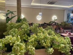 -杯子红牛排(南庄吉利广场店)