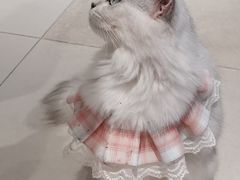 -怪兽屋·羊驼·猫咖·狗咖(俊华广场店)