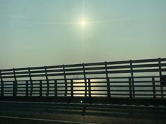 -杭州湾海上花田景区