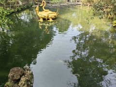 -海口火山口国家地质公园