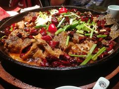 -老板恋上鱼(高新万达店)
