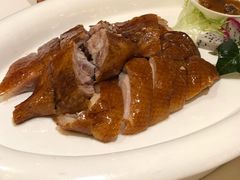 -同庆楼(滨湖万达广场店)