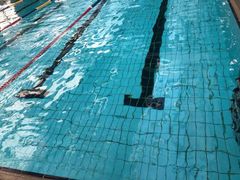 -W FITNESS 威尔仕健身·游泳(老西门新苑店)