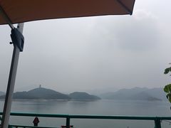 -望湖烤鱼