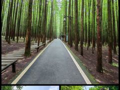 -山王坪喀斯特国家生态公园