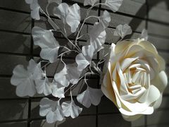 景观位-八喜G’nature冰淇淋旗舰店