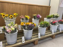 -鹿岛会员店 (龙湖三千集天街店)