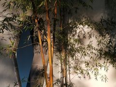 -拙政园
