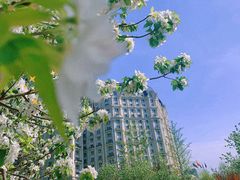 -北京丽晶酒店