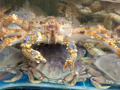 -醉壹号海鲜大排档(厦门美食地标店)