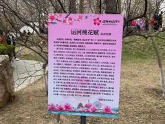 -桃花堤公园