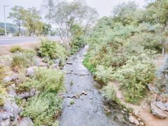-羊山湖公园