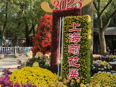 -上海共青森林公园