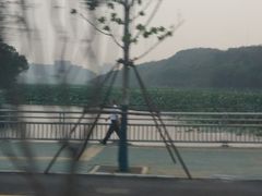 -月湖风景区