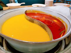 -青瓷火锅料理(西单大悦城店)
