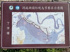 -湖南东洞庭湖国家级自然保护区