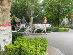 -石家庄市动物园