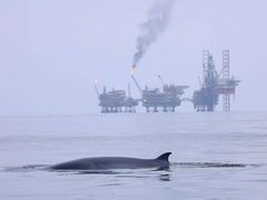 -涠洲岛南湾海洋运动公园