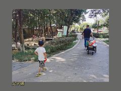 -象山森林公园