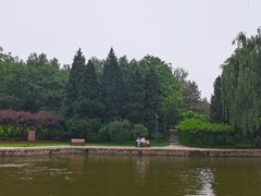 -团结湖公园