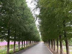 -嘉北郊野公园