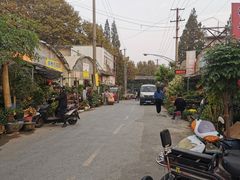 -金陵花卉交易市场