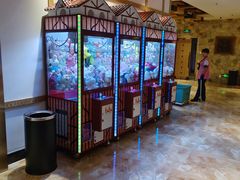 -青水瓦台(青山店)