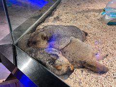 -昆明大悦城未来动物城(螺蛳湾中心店)