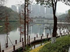 -重庆彩云湖湿地公园
