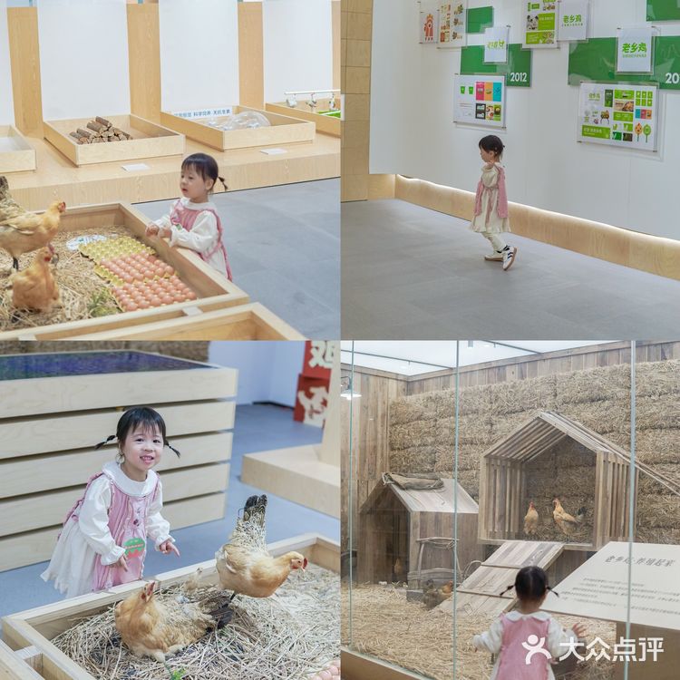 周末遛娃 | 参加老乡鸡开放日的奇妙之旅