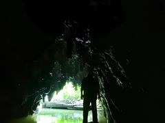 -怀托摩萤火虫洞