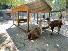 -长白岛森林公园