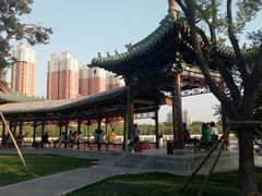 -迎泽公园