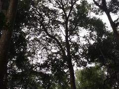 -都江堰普照寺