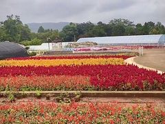 -昆明春城湖畔度假村