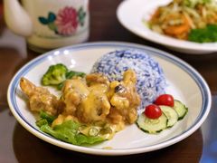 椰奶鸡肉饭-马来MO简餐.南洋风味料理(美食街店)