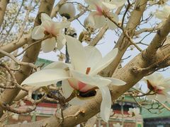 -国家图书馆·古籍馆