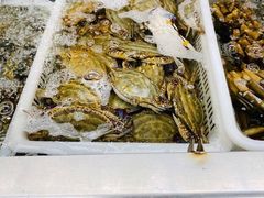 -盒马鲜生(大成店)